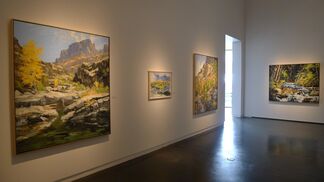 James Cook | Inside Out, installation view