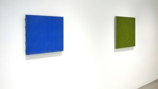 RADICAL: Monochrome Paintings from the Goodman Duffy Collection, installation view
