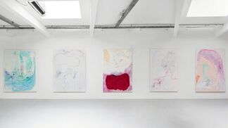 Gonn Mosny, installation view
