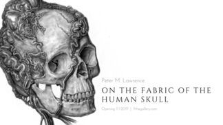 Peter M. Lawrence: On the Fabric of the Human Skull, installation view