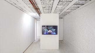 Tonight The Air Is Warm, installation view