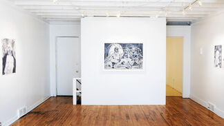 Hannah E. Brown — Personal Record, installation view