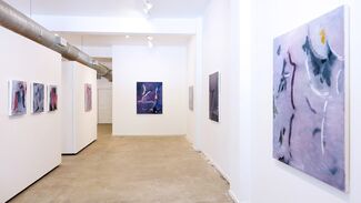 An Hoang: Forest for Trees, installation view