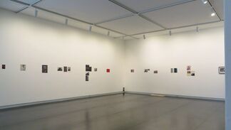 another furrow in the forehead, installation view