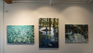 Remembering Water, installation view