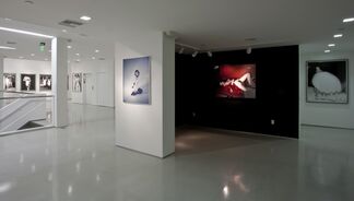 Araki: A Perspective, installation view