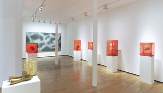Chiharu Shiota, Inner Universe, installation view
