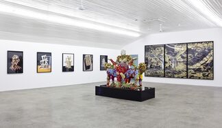 Uncertain Terms, installation view