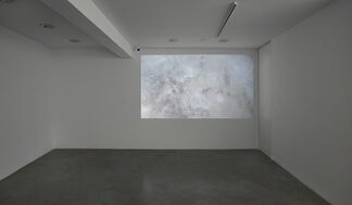 Chance and Necessity, installation view