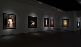 Andres Serrano - Torture, installation view