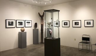 Paul Caponigro - Sixty Years, installation view