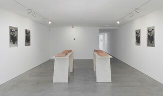 Muscular Notions, installation view