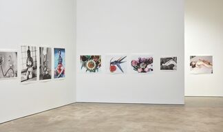 Hana Jinsei (Flower - Life) | Solo Exhibition of Nobuyoshi Araki, installation view