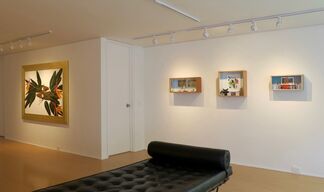 Organic Landscapes, installation view