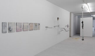 Adriano Amaral, installation view