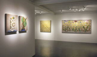 CARRIE MARILL: PROTECTED VULNERABILITY, installation view