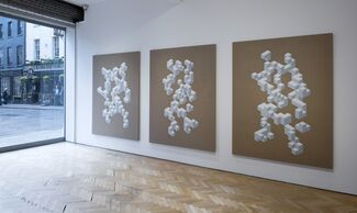 Oliver Marsden, installation view