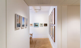 Nature Observed, installation view