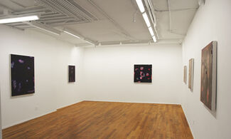 Stacks and Subdivisions, installation view