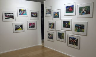 Nobuyoshi Araki :  ​Painted Photographs, installation view