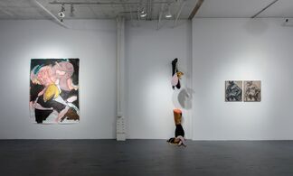 Tina Schwarz, "A Dollar, a Dime, a Very Thin Penny", installation view