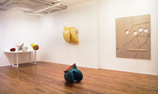 Sven-Ole FRAHM and Jeremy THOMAS, installation view