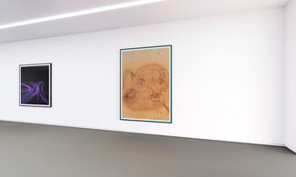 Virtual Room - Thomas Ruff, installation view