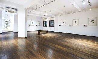 Soil as witness | Memory as wound, installation view
