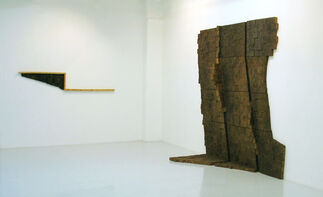 Beta Pictoris Gallery/Maus Contemporary at VOLTA13, installation view