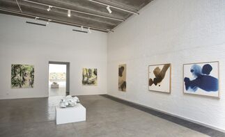 Preoccupations, installation view