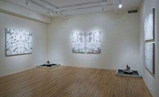 J Ivcevich: shreds, installation view