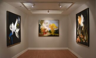 Elise Ansel - Amber and Ebony, installation view