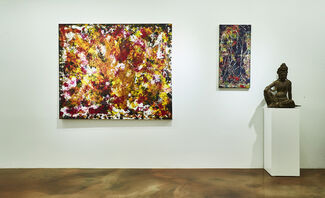 Beauty is in the eyes of the Beholder, installation view