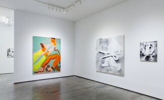 BRIAN SCOTT CAMPBELL and PATRICK SHOEMAKER: Hurry On Trouble, installation view