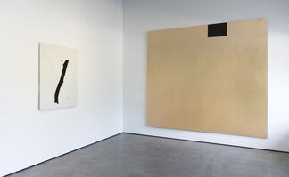 Robert Motherwell: Black, installation view