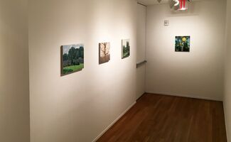 John Beerman: Recent Paintings, installation view