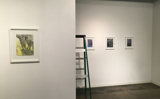 Harumi Shimazu, Linde Pieper, Seth Daulton, installation view