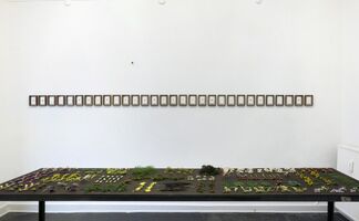 HIROSHI SHINNO & SILAS INOUE - Phenotype, installation view