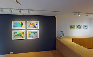 Shapes and Shades, installation view