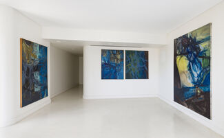 Youth and joy, installation view