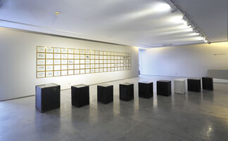 Zhao Zhao, installation view