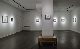 Andrés & Valentina Layos | Growing together, installation view