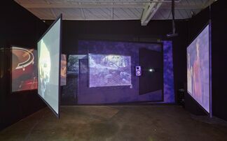 Bernard Chadwick: I Dream of You, installation view