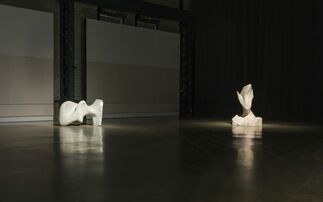 Jon Rafman, installation view