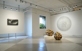 Jaehyo Lee: The Principles of Nature, installation view