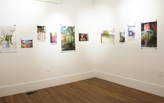 Kenneth Dunne - Ripe Bananas, installation view