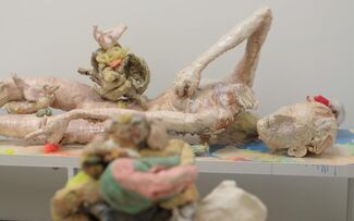 Meghan Smythe: Flesh For Fantasy, installation view