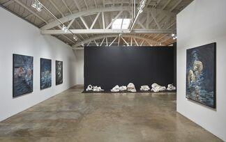 Rebecca Farr: Out of Nothing, installation view