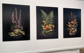In focus: 'Dark Flora' Collection by Jasper Goodall, installation view