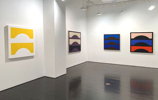 Shaping Color, installation view